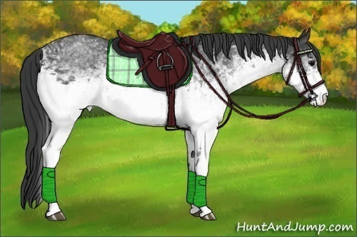 Horse Color:White Spotted Black