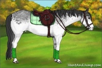 Horse Color:White Spotted Black 