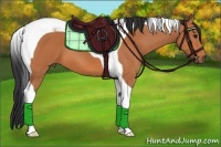 Horse Color:Bay Tobiano 