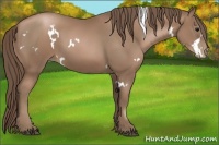Horse Color:White Spotted Black Pearl