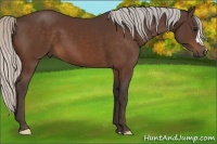 Horse Color:Silver Brown 