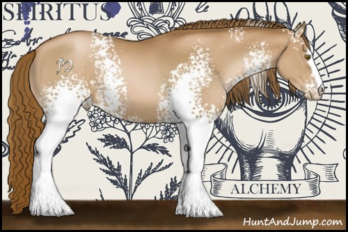 Horse Color:White Spotted Liver Chestnut Pearl 
