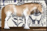 Horse Color:White Spotted Liver Chestnut Pearl 