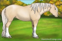 Horse Color:Silver Amber Champagne Pearl 
