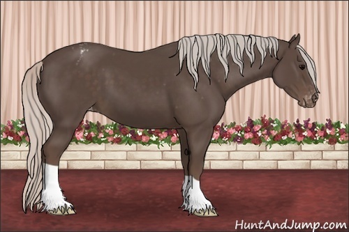 Horse Color:Silver Black Varnish