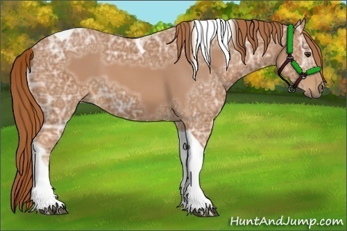 Horse Color:Chestnut Ice Tobiano 