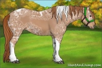 Horse Color:Chestnut Ice Tobiano 