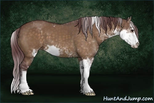 Horse Color:Chocolate Brown Dun Sabino 