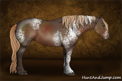 Horse Color:White Spotted Liver Chestnut Rabicano 