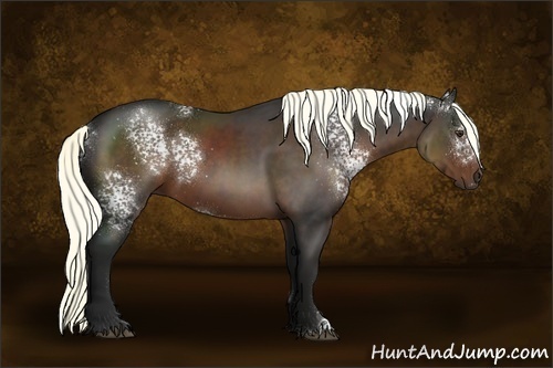 Horse Color:White Spotted Liver Chestnut 
