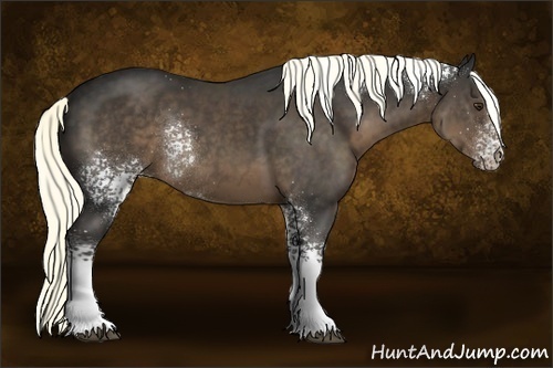 Horse Color:White Spotted Liver Chestnut Rabicano 