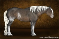 Horse Color:White Spotted Liver Chestnut Rabicano 
