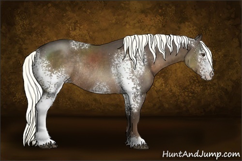 Horse Color:White Spotted Liver Chestnut Rabicano