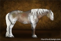 Horse Color:White Spotted Liver Chestnut Rabicano 