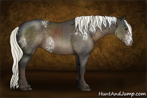 Horse Color:White Spotted Liver Chestnut Rabicano 