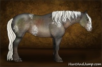 Horse Color:White Spotted Liver Chestnut Rabicano 