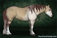 Horse Color:Chocolate Buckskin Dun Sabino