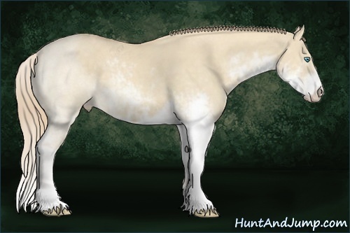 Horse Color:Chocolate Perlino Dun Sabino