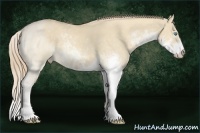 Horse Color:Chocolate Perlino Dun Sabino 