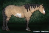 Horse Color:Buckskin Dun Sabino Frame 