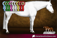 Horse Color:Brown Sabino 
