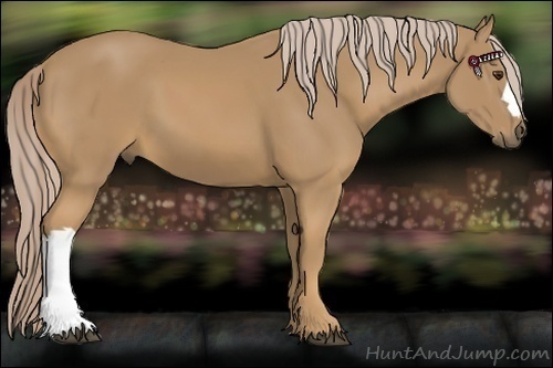 Horse Color:Palomino 