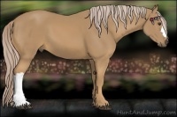 Horse Color:Palomino