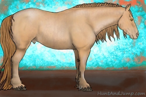 Horse Color:Bay Pearl  and Bay Pearl 