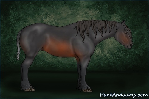 Horse Color:Brown 