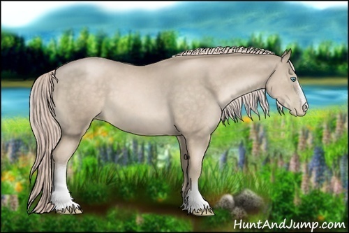 Horse Color:White Spotted Chocolate Palomino Pearl 