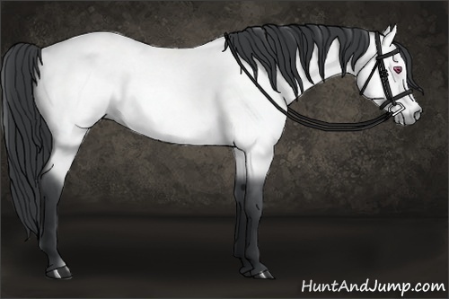 Horse Color:Bay Chinchilla and Bay Chinchilla Rabicano