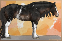 Horse Color:White Spotted Liver Chestnut Ice Sabino