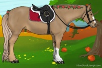 Horse Color:Palomino