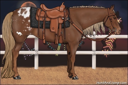 Horse Color:Chestnut Appaloosa