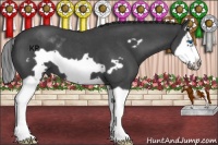 Horse Color:Smoky Blue Roan Splash Frame