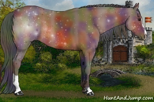 Horse Color:Nacre Bay Sabino Rabicano 