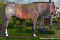 Horse Color:Nacre Bay Sabino Rabicano