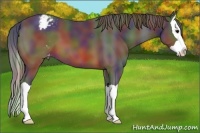 Horse Color:Nacre Brown Splash Varnish 