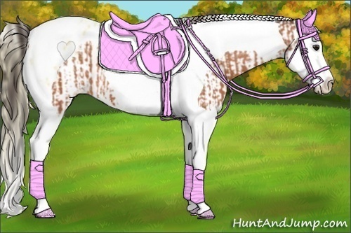 Horse Color:Bay Splash Tobiano Appaloosa  and Buckskin Splash Tobiano Appaloosa 