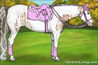 Horse Color:Bay Splash Tobiano Varnish and Buckskin Splash Tobiano Varnish