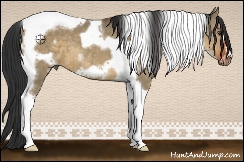 Horse Color:Bay Dun Tobiano Frame Brindle 