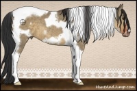 Horse Color:Bay Dun Tobiano Frame Brindle 
