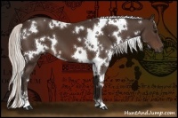 Horse Color:White Spotted Silver Brown