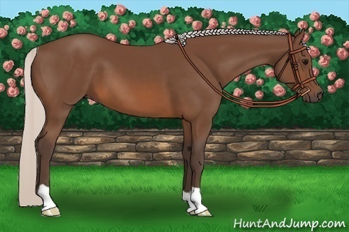 Horse Color:Silver Brown 