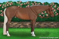 Horse Color:Silver Brown 