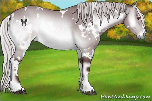 Horse Color:White Spotted Chocolate Silver Brown Chinchilla Onyx 