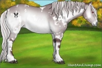 Horse Color:White Spotted Chocolate Silver Brown Chinchilla Onyx