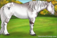 Horse Color:White Spotted Chocolate Silver Brown Chinchilla Onyx 