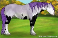 Horse Color:Watercolor Sable Champagne Splash