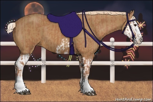Horse Color:Chestnut Splash Frame and Chestnut Splash
